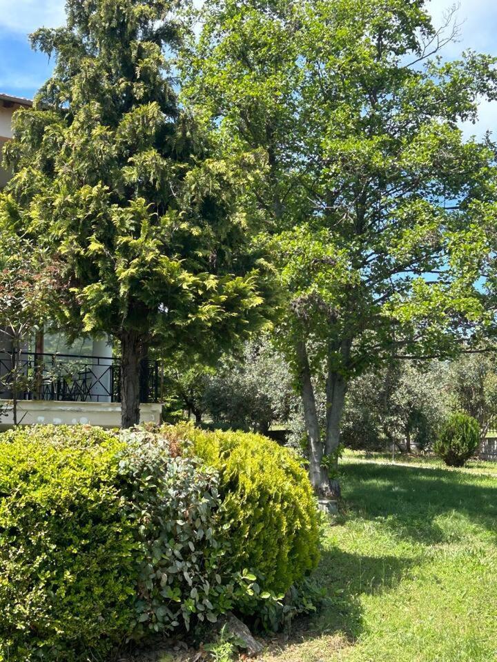 Zeusplace Karia Villa Natura Leptokarya  Dış mekan fotoğraf
