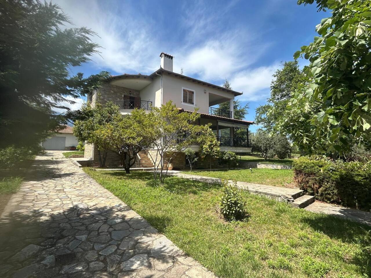 Zeusplace Karia Villa Natura Leptokarya  Dış mekan fotoğraf
